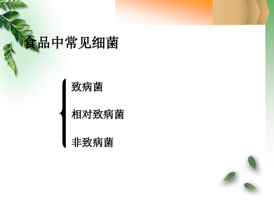 {环境管理}食品营养与卫生6第六章食品污染及预防_第4页