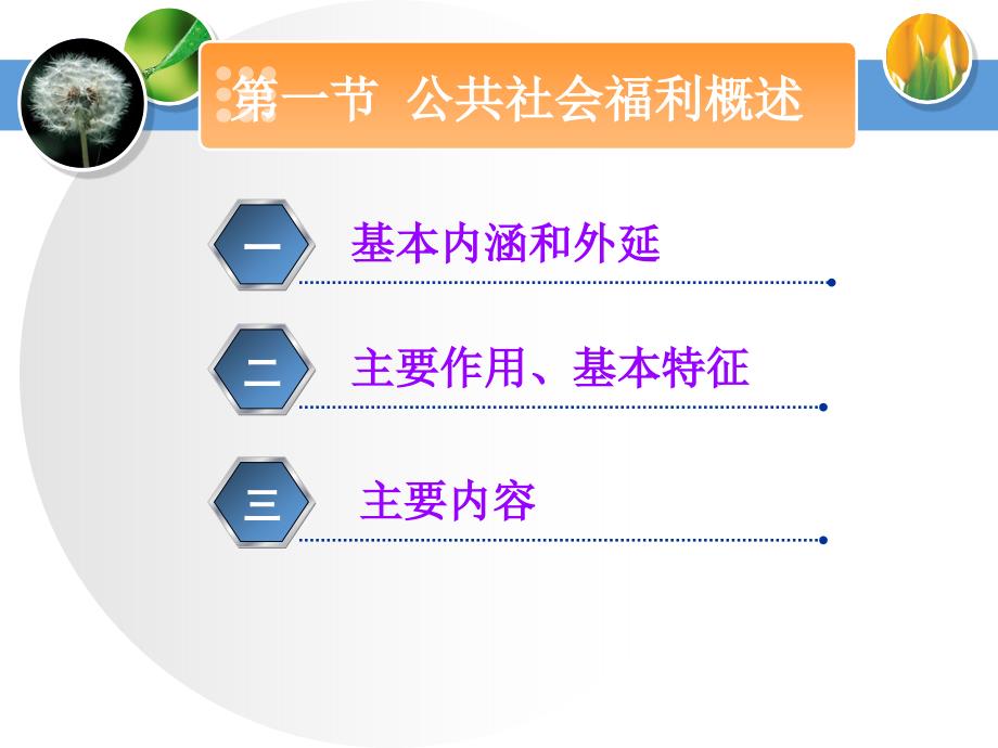 {人力资源福利待遇体系}第十四章公共社会福利_第4页