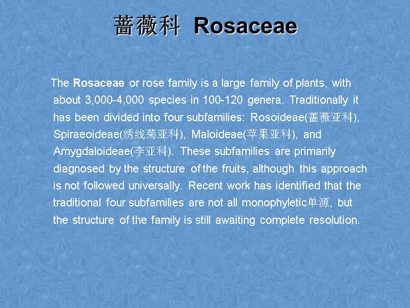 【中英双语课件】园林树木学-被子植物门（Angiosperm）4_第1页