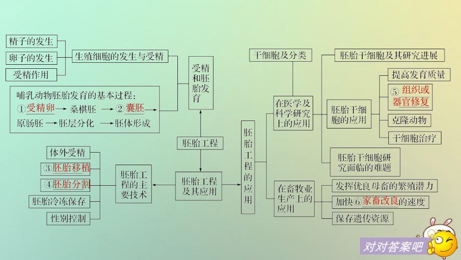 高中生物第三章胚胎工程章末整合提升课件苏教版选修3_第4页