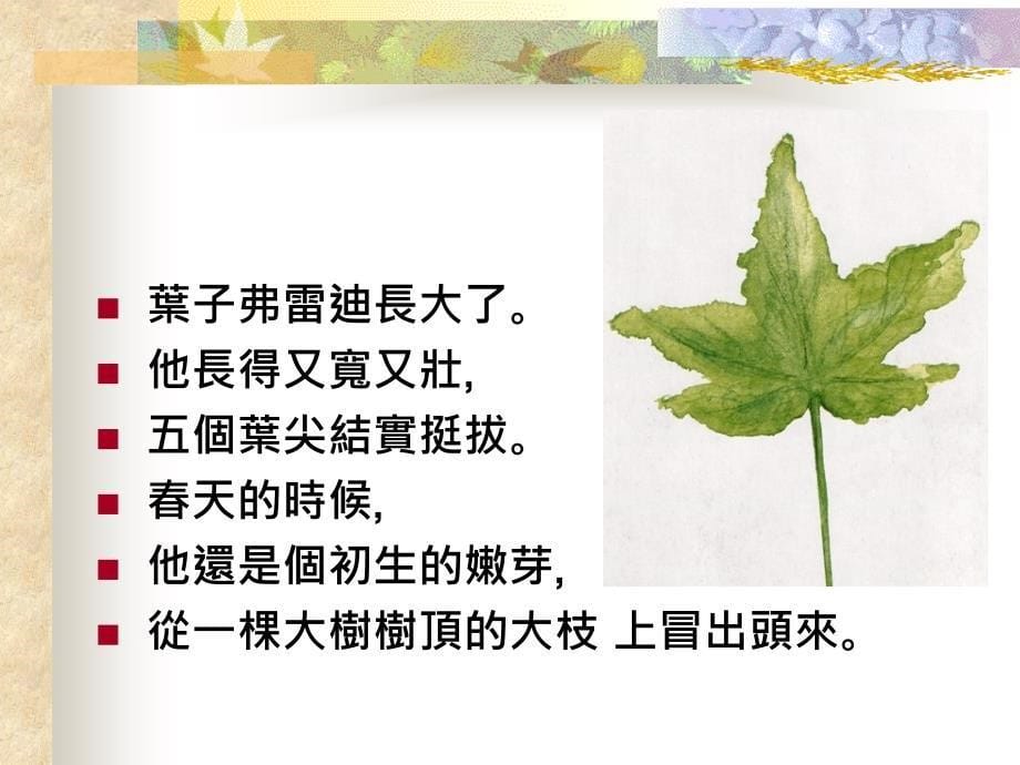 一片叶子落下来 课件_第5页