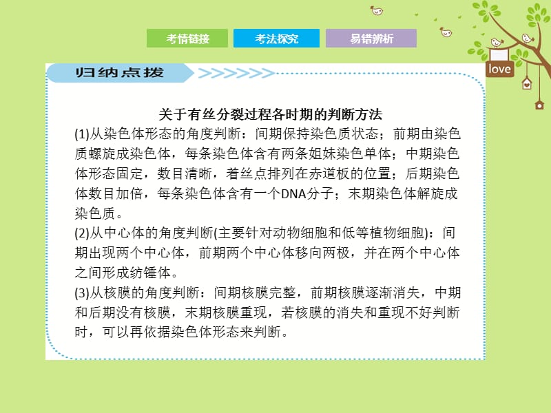 高考生物二轮复习第二部分专题四细胞的生命历程课件_第5页