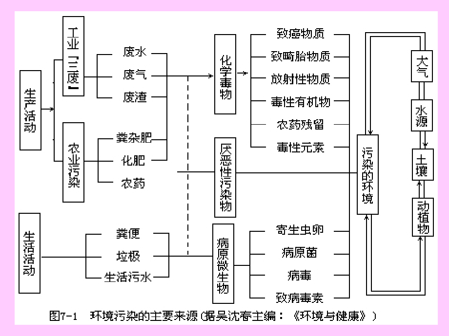 {环境管理}环境污染的生态对策_第3页