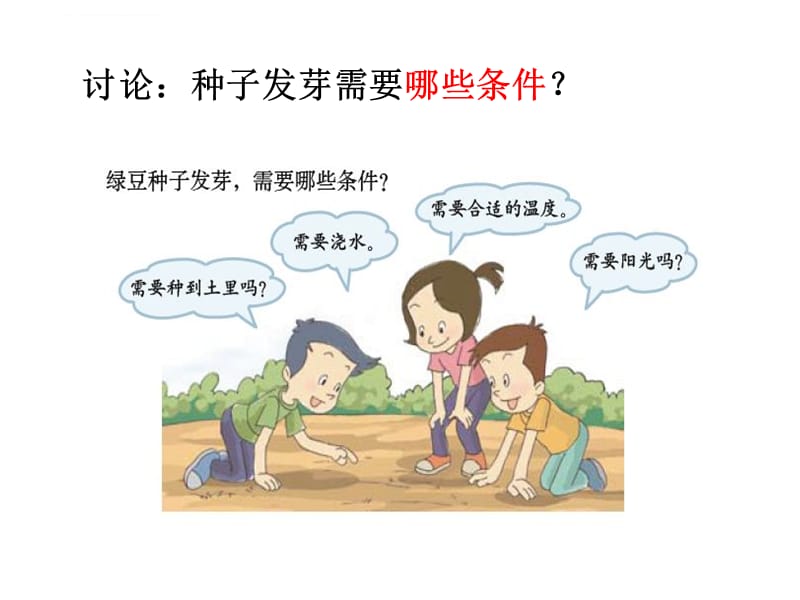 五上一1种子发芽实验课件_第3页