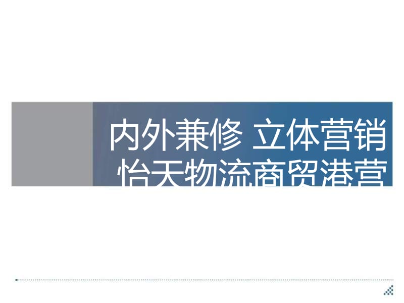 {营销策略}物流商贸港营销总纲与执行策略_第1页