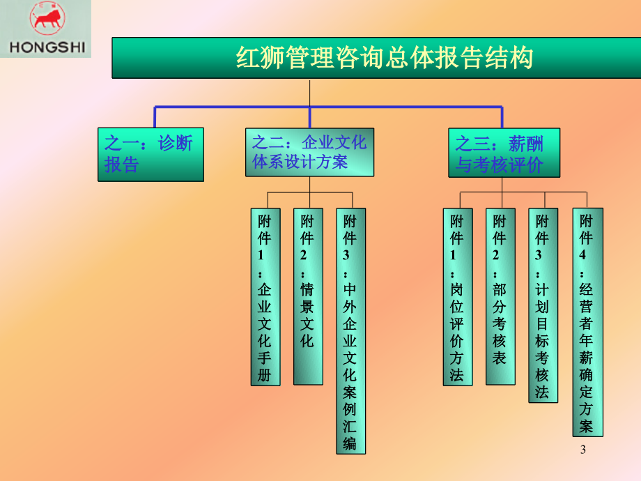 {人力资源绩效考核}红狮薪酬与考核评价体系设计1_第3页