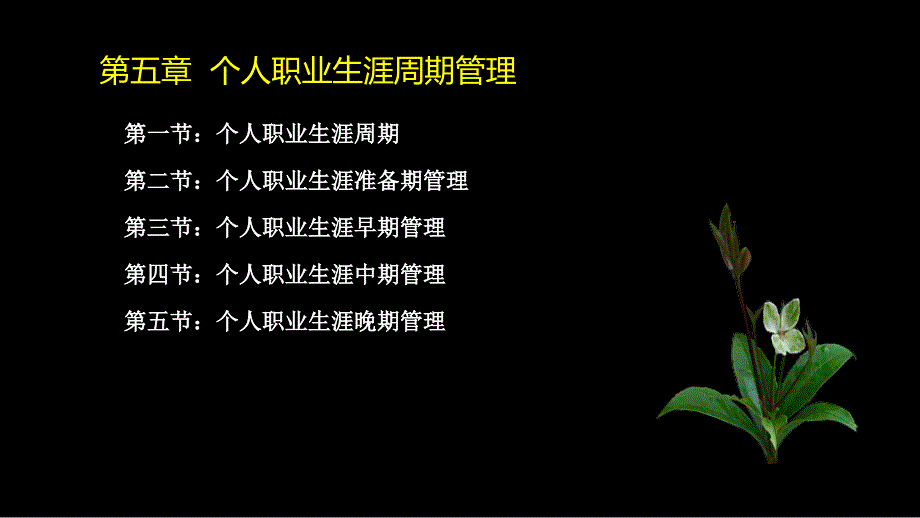 {人力资源职业规划}个人职业生涯周期管理讲义_第2页