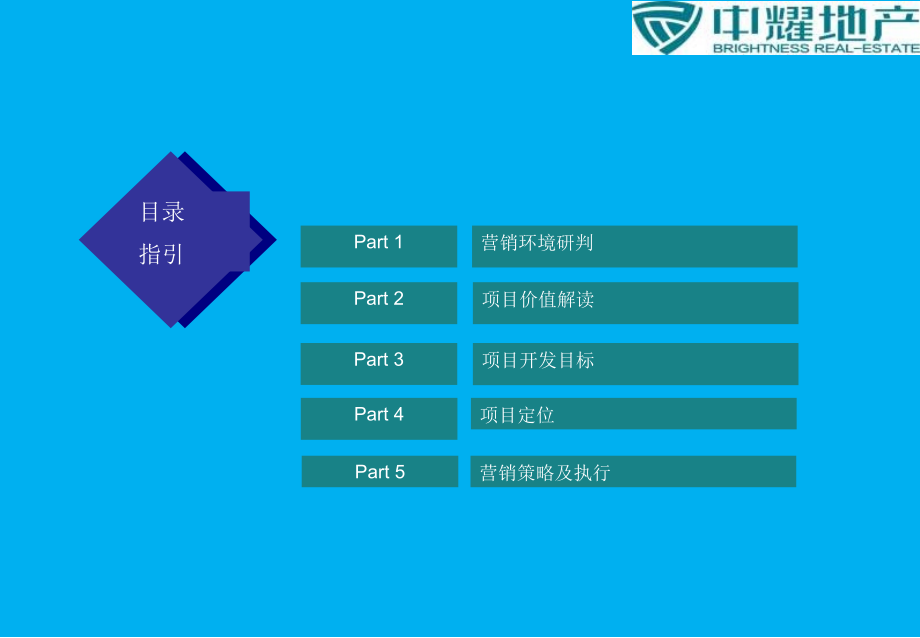 {营销策略}某某某中耀地产·某市红旗河沟项目整体营销策略报告_第2页