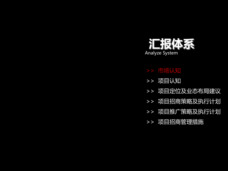 {营销策略}年8月某市龙城国际项目商业定位及营销推广策略105P_第2页