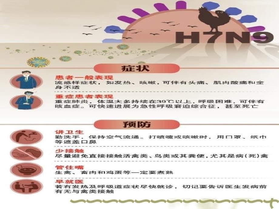 {企业通用培训}人禽流感HN防控知识培训_第5页