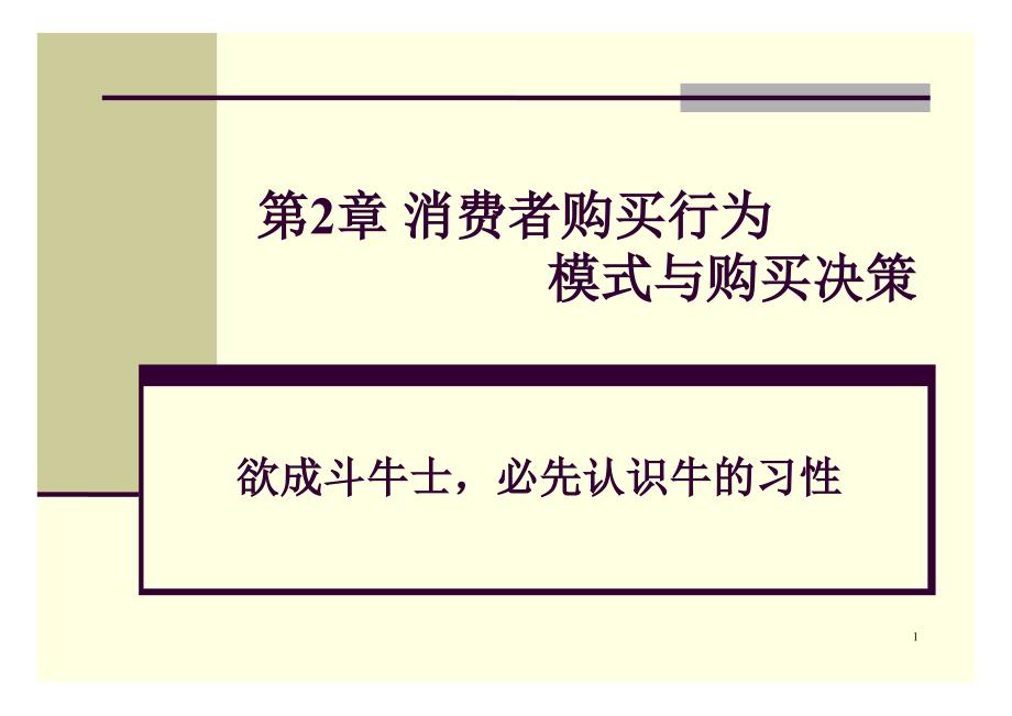 {消费者行为分析}消费者购买行为模式与购买决策讲义_第1页