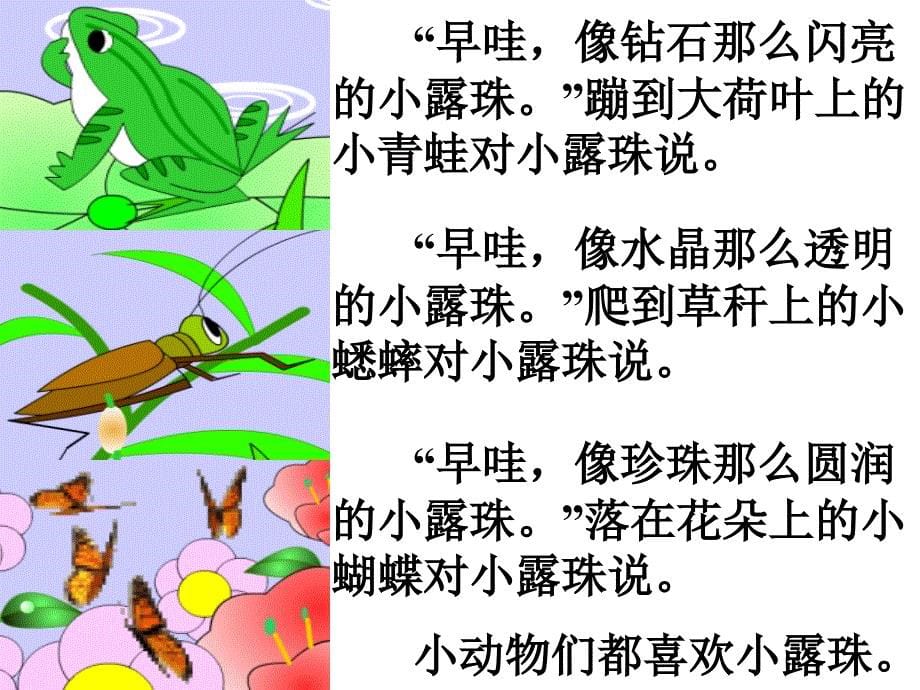 最新课件小露珠_第5页