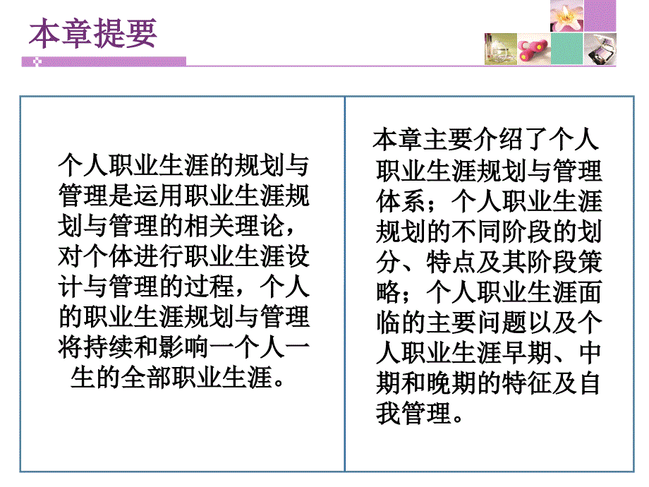 {人力资源职业规划}第三讲个人职业生涯开发与管理_第2页