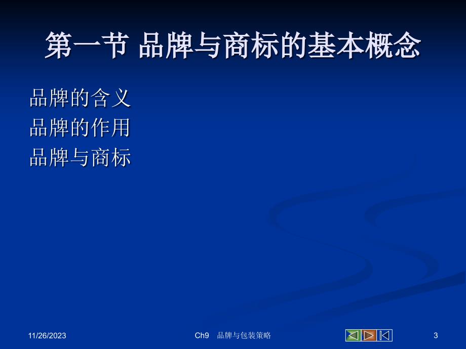 {营销策略}市场营销学九章品牌与包装策略_第3页