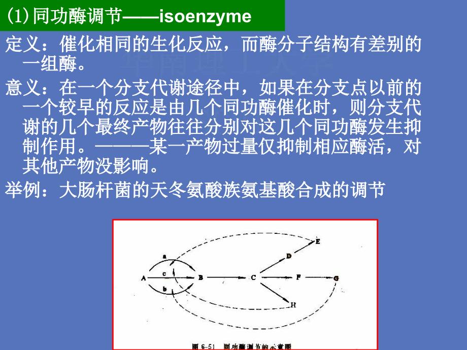 代谢调节与代谢工程课件_第2页