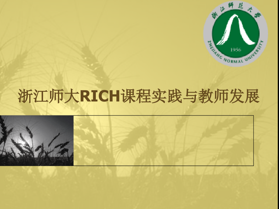 浙江师大RICH章节程实践与教师发展电子教案_第1页