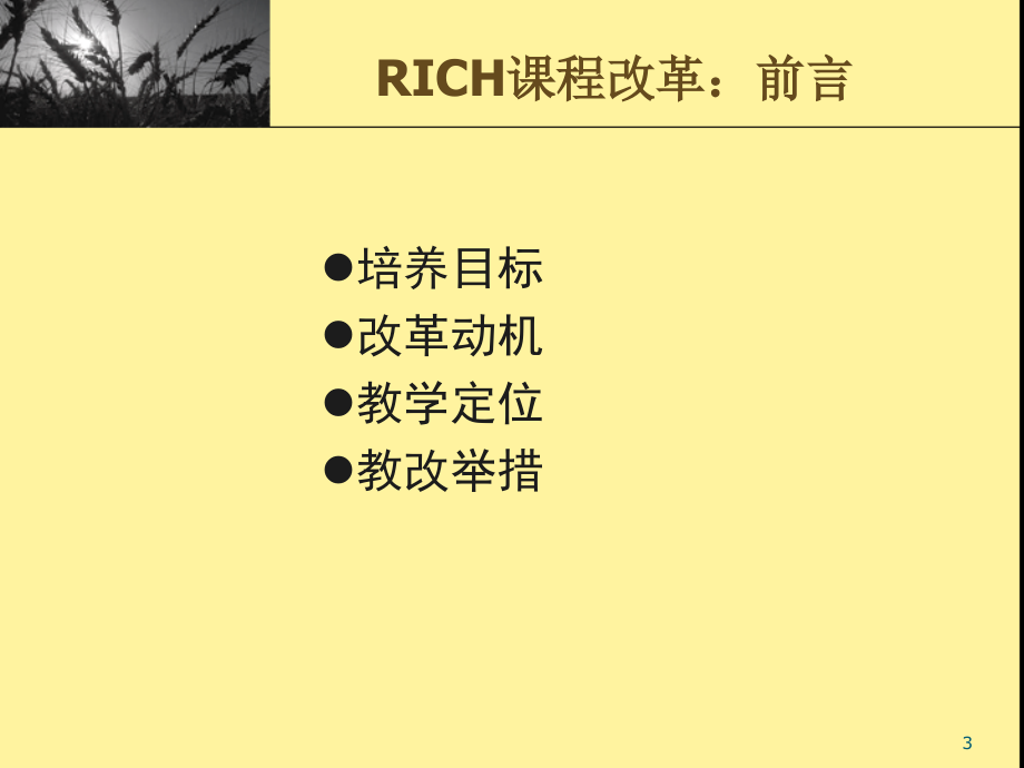 浙江师大RICH章节程实践与教师发展电子教案_第3页