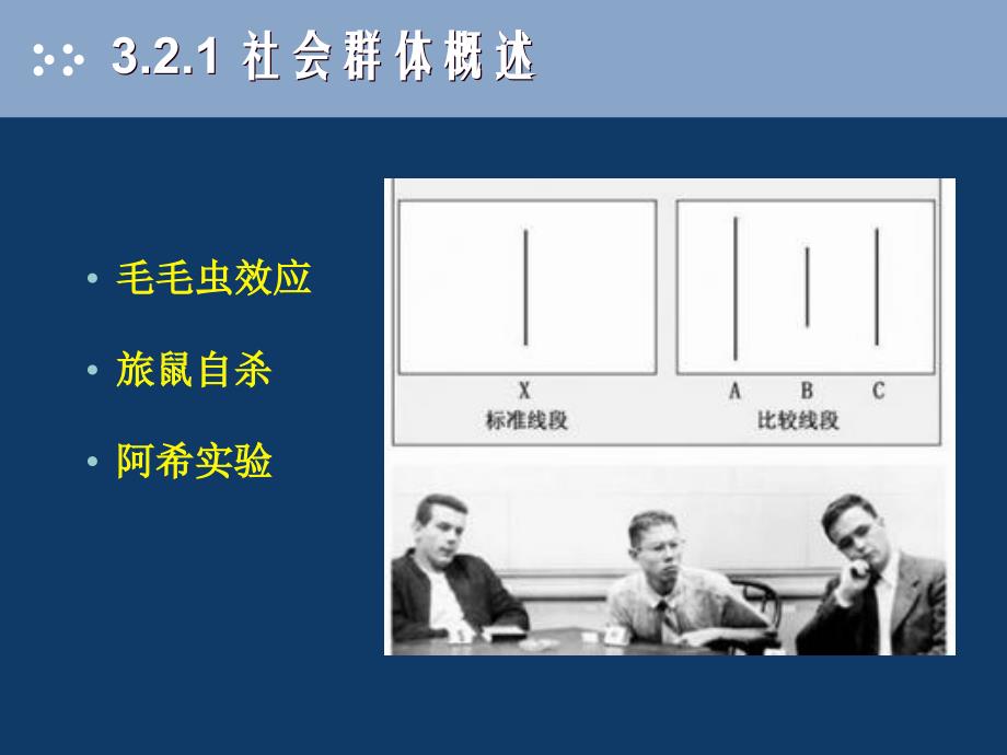 {消费者行为分析}社会因素与消费者行为_第4页