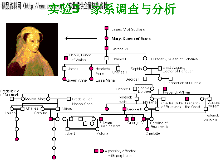 {营销策略培训}家系调查及其分析_第1页