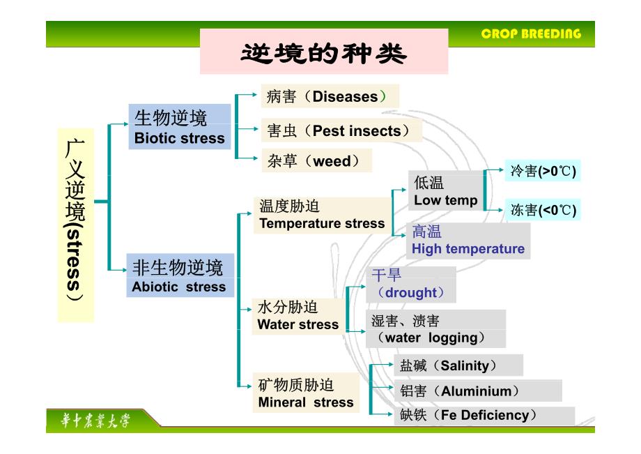 第十八章-非生逆境抗性育种-_第2页