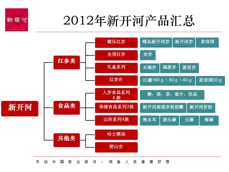 {营销策划}新开河品牌营销推广策划_第4页