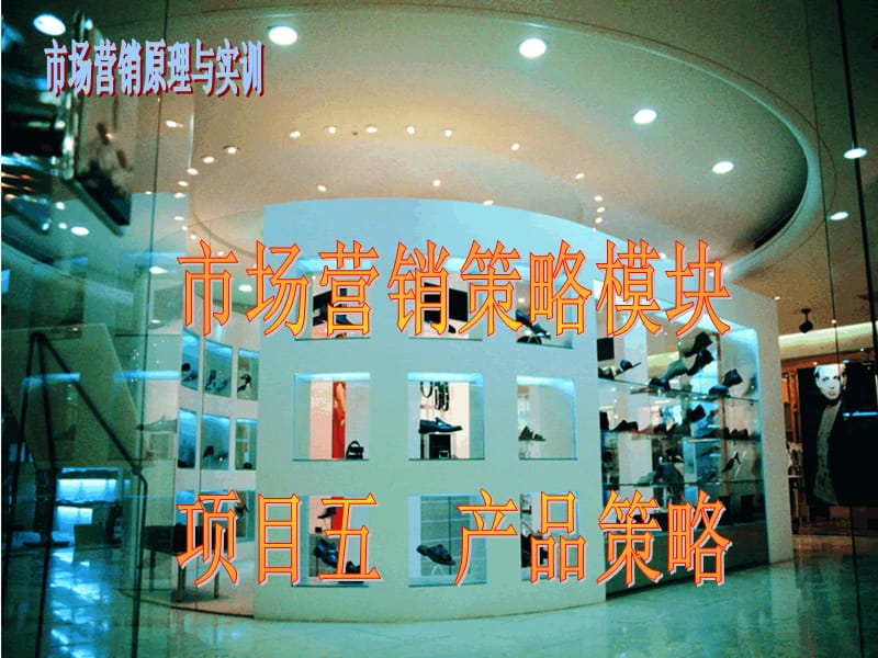 {营销策略}市场营销策略实训产品策略_第1页