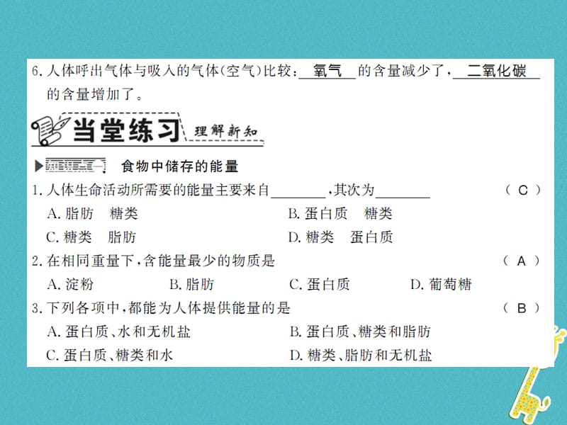 七年级生物下册10.1食物中能量的释放课件（新版）北师大版_第2页