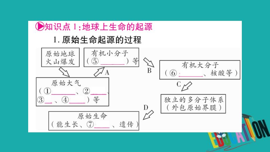 中考生物总复习教材考点梳理八下第7单元第3章生命起源和生物进化课件新人教版_第2页