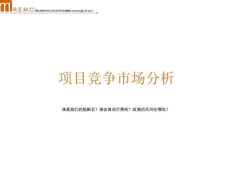 {营销策略}山东青岛天一畔城项目营销推广策略方案92页某某某年_第5页