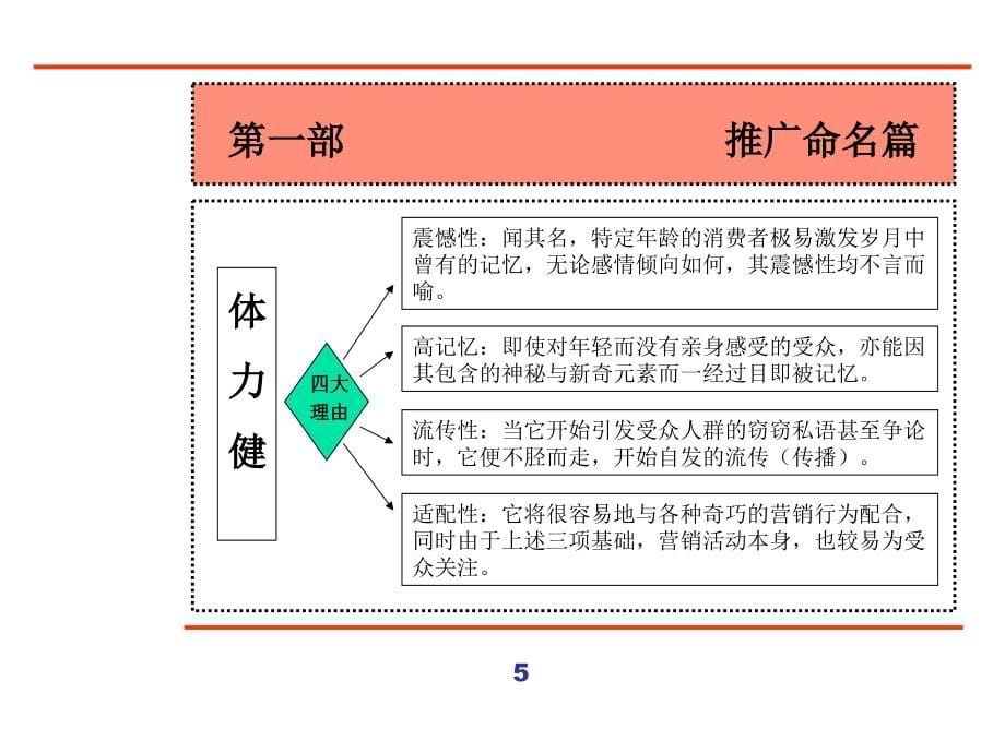 {营销策划}新产品营销策划全案_第5页