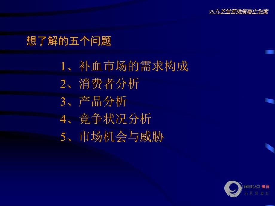 {营销策略}梅高广告九芝堂营销策略企划案_第5页