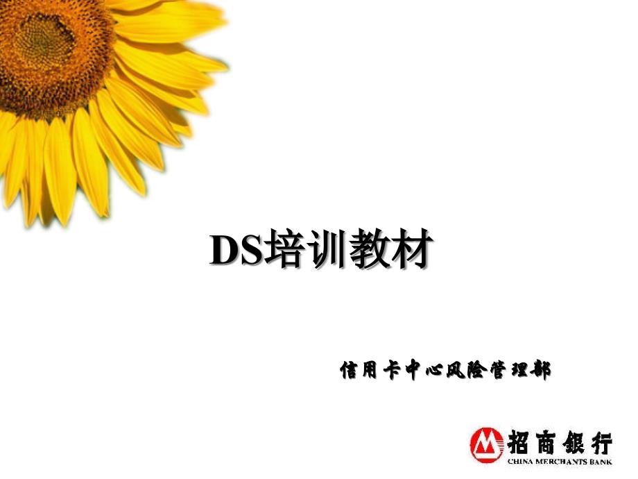 {企业通用培训}DS征信讲义修正版PPT 28页_第1页