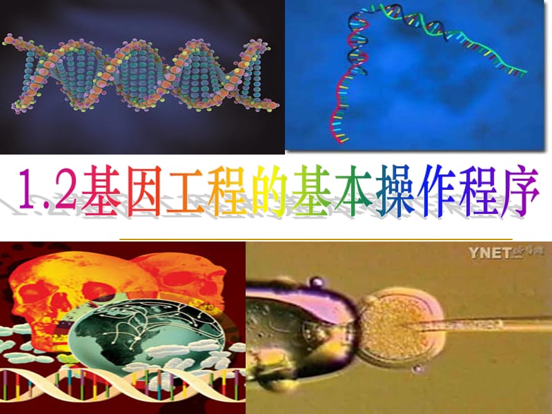 {企业通用培训}基因工程的基本操作程序讲义_第1页