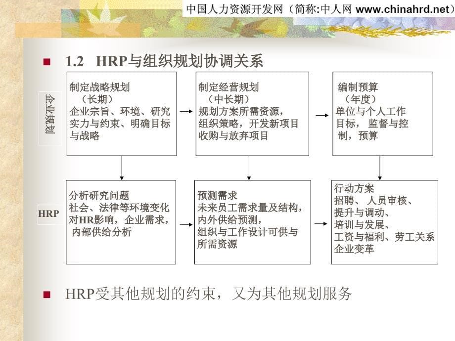 {人力资源招聘面试}分享HR规划招聘与配置_第5页