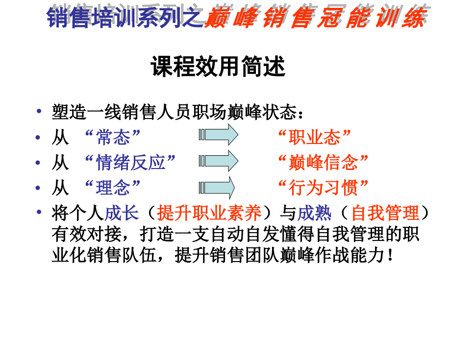 {营销策略培训}巅峰销售冠能特训某市金蓝盟林慧熙学习版_第2页