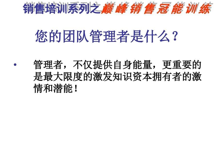 {营销策略培训}巅峰销售冠能特训某市金蓝盟林慧熙学习版_第5页