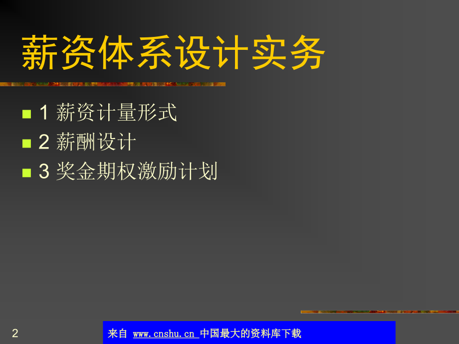 {人力资源薪酬管理}薪资体系设计实务_第2页