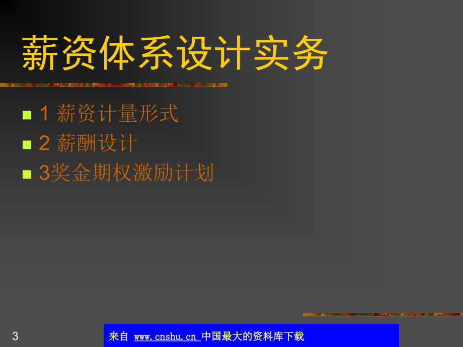 {人力资源薪酬管理}薪资体系设计实务_第3页