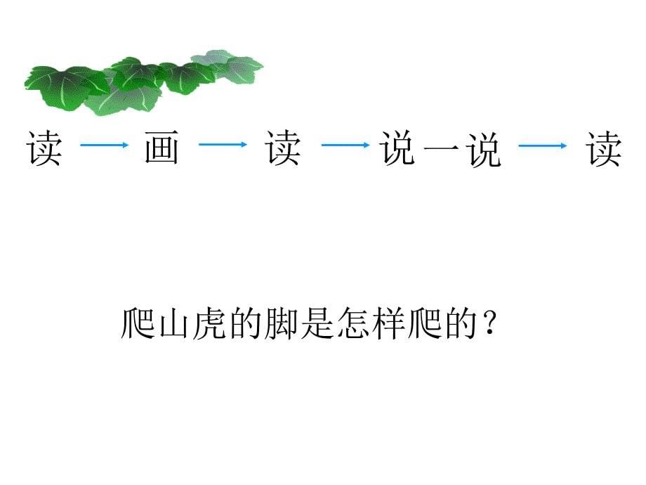 最新课件爬山虎的脚8_第5页