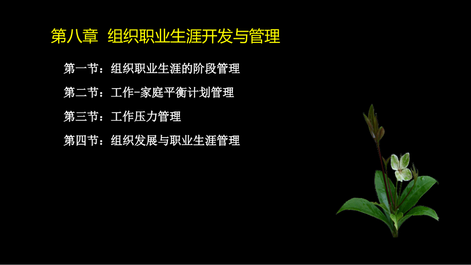 {人力资源职业规划}组织职业生涯开发与管理讲义_第2页