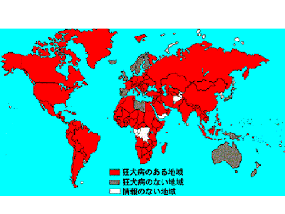 {管理信息化BI商务智能}狂犬病病毒Rabiesvirus)_第2页