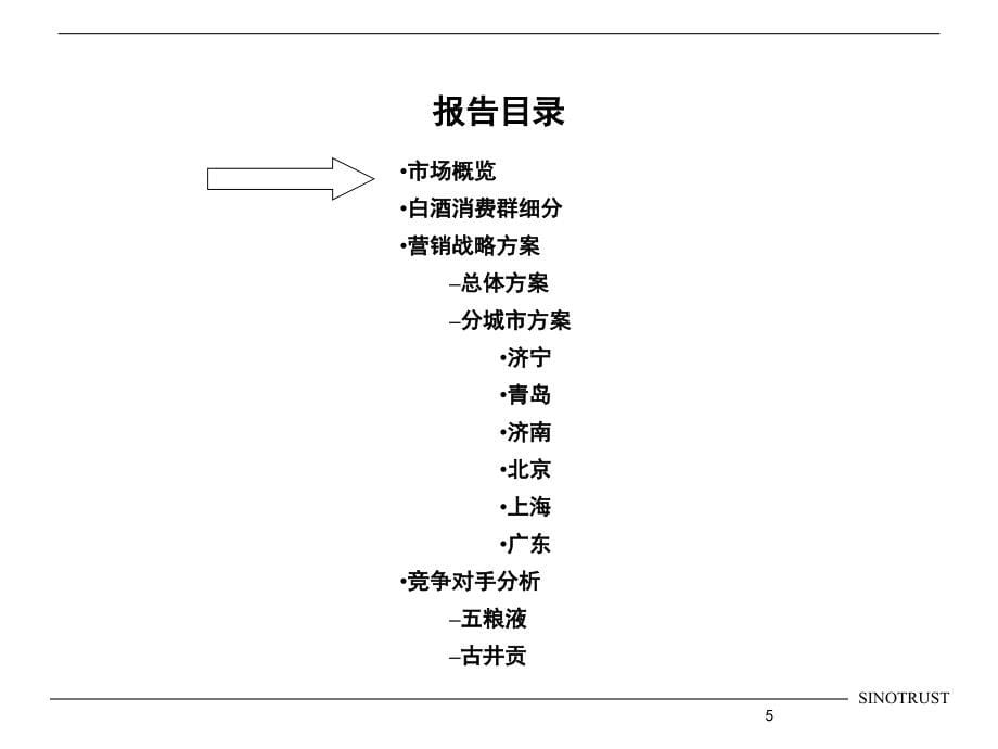 {营销战略}营销战略咨询报告_第5页