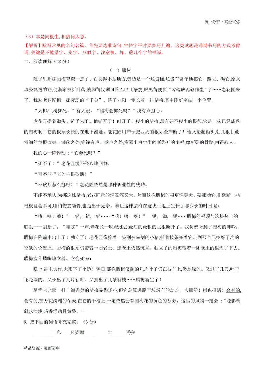 2021年初一新生入学分班考试语文卷部编版（二）（含解析）_第3页