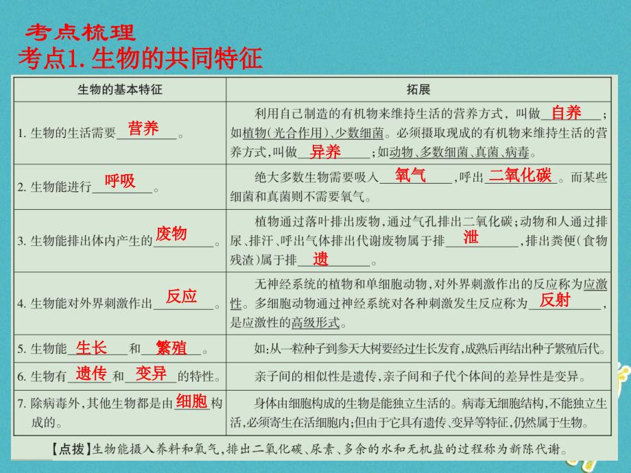 广东省中考生物第一单元生物和生物圈课件_第4页