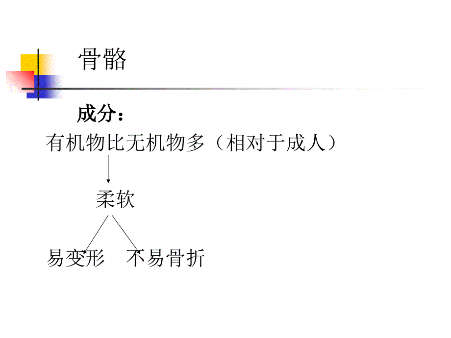 儿童生理发展与教育（k）课件_第3页