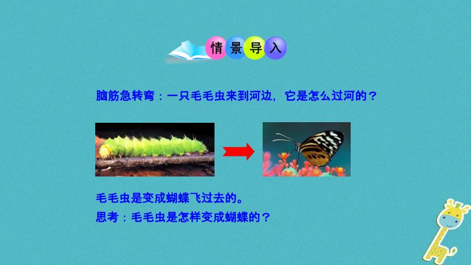 八年级生物下册7.1.2昆虫的生殖和发育课件3（新版）新人教版_第2页