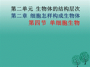 河北省平泉四海中学七年级生物上册2.2.4单细胞生物课件（新版）新人教版