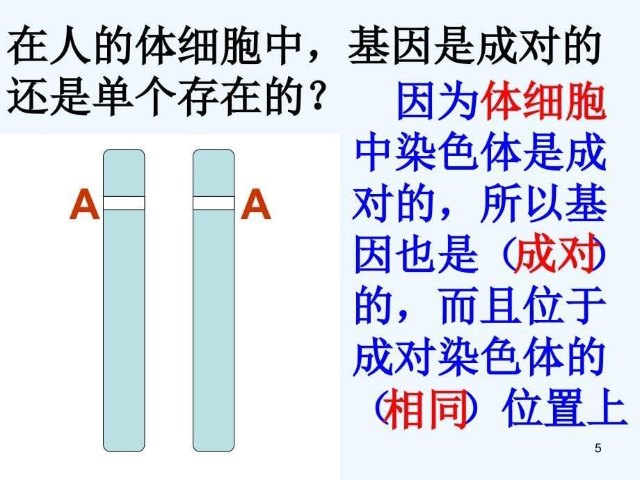 八年级生物下册第七单元第二节基因在亲子间的传递课件4（新版）新人教版_第5页