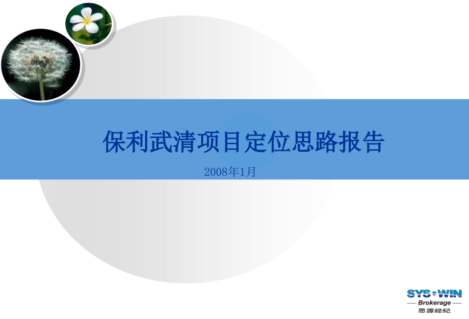 {营销报告}思源顾问某地产天津武清房地产项目营销定位报告_第1页