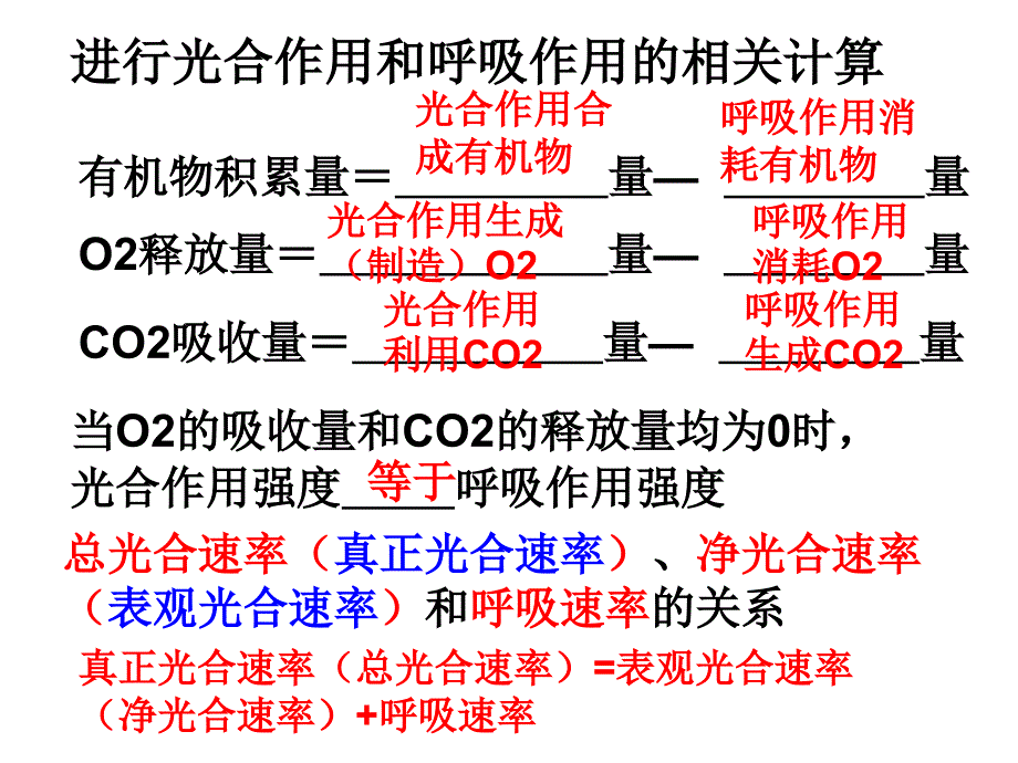 光合作用与影响因素课件_第3页